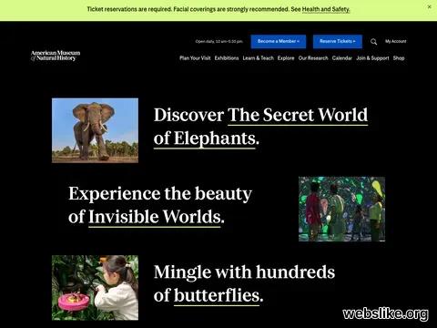 amnh.org