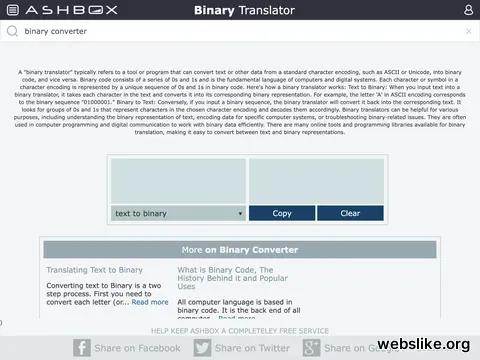 binarytranslator.com