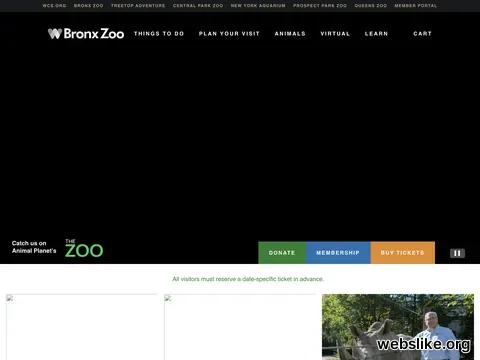 bronxzoo.com