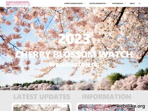 cherryblossomwatch.com