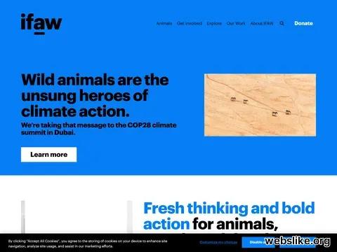 ifaw.org