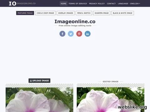 imageonline.co