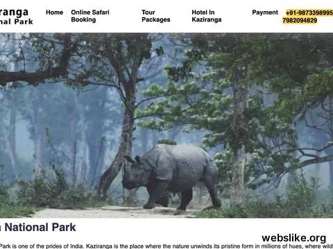 kaziranganationalpark-india.com