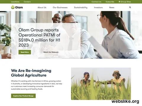 olamgroup.com