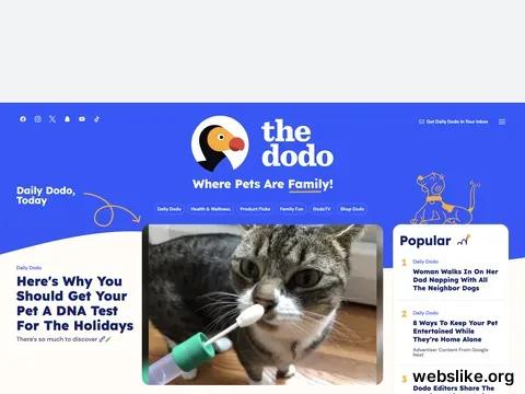 thedodo.com