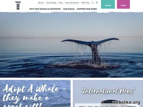 whales.org